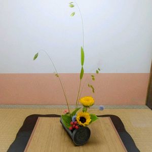 ギボウシ,ヒペリカム,ヒマワリ,ルリタマアザミ,コバンソウの画像