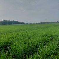 いね,名前を教えて,風景,おでかけ先,記録picの画像