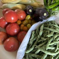 トマト,とうもろこし,インゲン,水なす,家庭菜園の画像