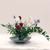 ギボウシ,スカビオサ,アスパラ,薔薇,ルスカスの画像