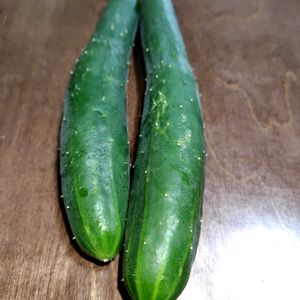 キュウリ,キュウリ,トマト,トマト,ナスの花の画像