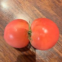 花のある暮らし,夏野菜,バラ好き,花いろいろ,植物中毒の画像