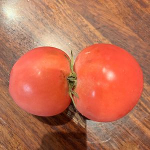 花のある暮らし,夏野菜,バラ好き,花いろいろ,植物中毒の画像