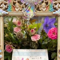 コチョウラン,フジ,バラミミエデン,14日はエンジェルデー,植中毒の画像