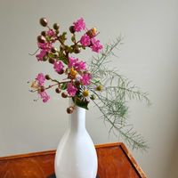 サルスベリ,サルスベリ,タチアオイ,アスパラガス,小さな空間に花、みどりの画像