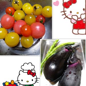ミニトマト,つるなしインゲン,プランター栽培,庭からの恵み,鉢植えミニトマトの画像