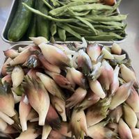 キュウリ,茄子,インゲン豆,ミョウガ,朝どり野菜の画像