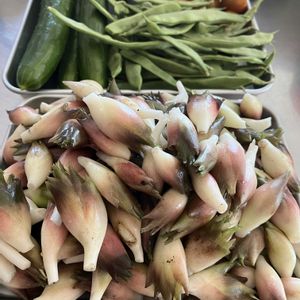 キュウリ,茄子,インゲン豆,ミョウガ,朝どり野菜の画像