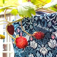 ワイルドストロベリー,ガーデニング,多年草,花のある暮らし,小さい庭の画像