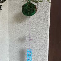 トキワシノブ,シノブ,風鈴,GS日和,シノブ風鈴の画像