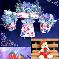 多肉植物 寄せ植え,ドドランタリス,パールフォンニュルンベルグ,パールフォンニュルンベルグ,ちまちま寄せの画像