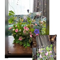 アンスリウム,バラミミエデン,植中毒,みどりのまとめ,EG栽培の画像