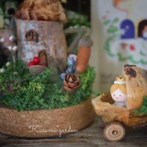 どんぐり,木の実 たくさん,白樺,木の実オーナメント,タマラックコーンの画像