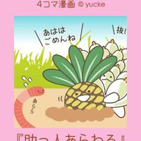 トリマネンシス,鉄甲丸,多肉植物,ユーフォルビア,エケベリア属の画像