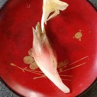 ミョウガ,白い水曜日♡,2026収穫祭りの画像