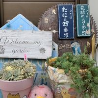 ブラックベリー,ブルーベリー,ソニーエンジェル,ほーちゃんの苺キューピーちゃん,いちごちゃん手作りコルクベリーの画像