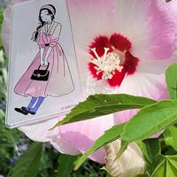 キュウリ,ナス,ミズ,クマノミズキ,モロッコインゲンの画像