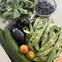 キュウリ,ブルーベリー,茄子,モロヘイヤ,朝どり野菜の画像