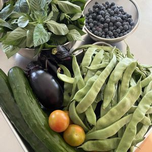 キュウリ,ブルーベリー,茄子,モロヘイヤ,朝どり野菜の画像