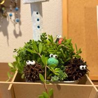 カエルさん,セダム寄植え,田んぼアート,マインクラフト,カエル好きの画像