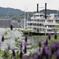 スモークツリー,ラベンダー,今日のお花,びわ湖大津館イングリッシュガーデンの画像