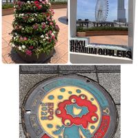 ヤシの木,ペンタスの塔,明石焼き,空を見上げて,GSのみなさんに感謝❤の画像