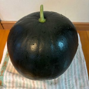 キュウリ,ナス,ピーマン,ズッキーニ,万願寺とうがらしの画像