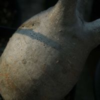 ハオルチア,多肉植物,観葉植物,塊根植物,サボテン科の画像