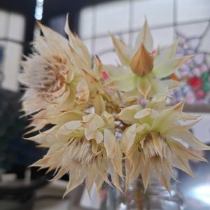 窓辺の画像