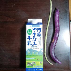 ナス,ナス,長ナス,長ナス,冬瓜の画像