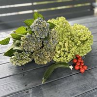 スモークツリー,アナベル,紫陽花マジカル,リース,お庭の画像