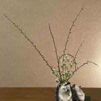 カラミンサ,ミズヒキ,小花会,みんな最高の画像