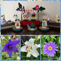 キキョウ,ブラキカム,ユリ,平和を願う☆,いつまでも友達でいよう♡の画像