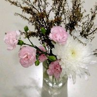 キク,スプレーカーネーション,ソリダコ,仏壇の供花,横浜の家の画像