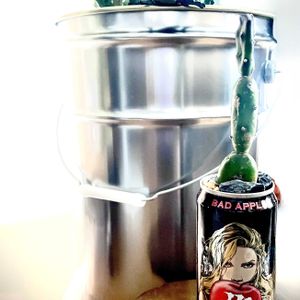 ポインセチア,墨こけし,武蔵野,ポインセチア　クリスマスマウス,アガベ 風雲神錦の画像