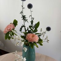 アスター,るりたまあざみ,ハイブリットチース,ヘンリーディーン,キッチンの画像