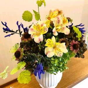 アジサイ,アジサイ,アルストロメリア,エキナセア,サルビアの画像