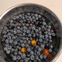 スイカ,ブルーベリー,ブルーベリー,ボリジ,ボリジの画像