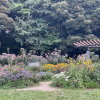 ガーデン,代々木公園,おしゃれな土曜日♪,お出かけ先の画像