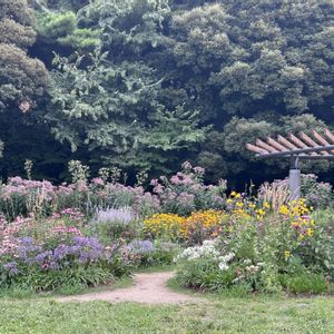 ガーデン,代々木公園,おしゃれな土曜日♪,お出かけ先の画像