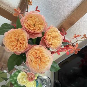 キッチンの画像