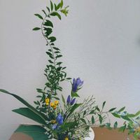 いけばな,生け花,お家でいけばな,お家いけばなの画像