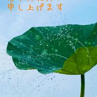 夏野菜,観蓮会,蓮の葉シャワー,♡暑中お見舞い♡,東京大学田無キャンパスの画像