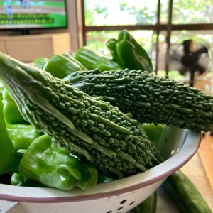 ゴーヤ,夏野菜,リビング・ダイニングの画像