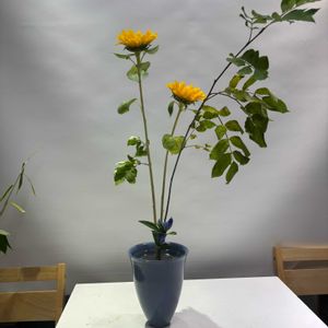 部屋,その他部屋の画像