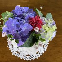 アザミ,アジサイの画像