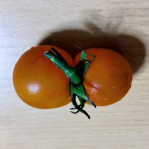 トマト,夏野菜,珍しい植物,おうち園芸,キッチンの画像