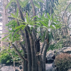 お出かけ先の画像