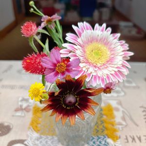 花壇,感謝,楽しみ〜,花のある暮らし,ありがとう♪の画像