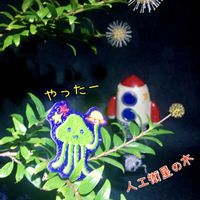 サボテン,谷渡りの木,ペンタカンサ,人工衛星の木,ポーチュラカ ピンキーの画像